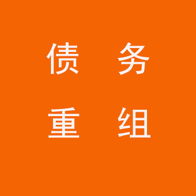 鹰手营子矿个人债务重组优化